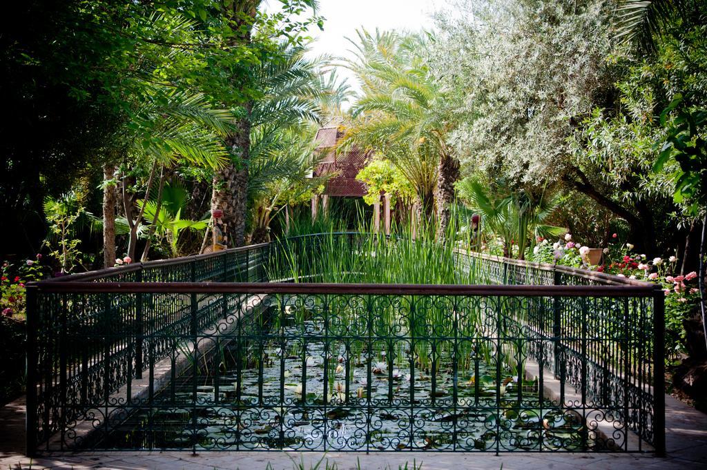 Dar Ayniwen Garden Hotel & Bird Zoo Marrakesh Eksteriør billede